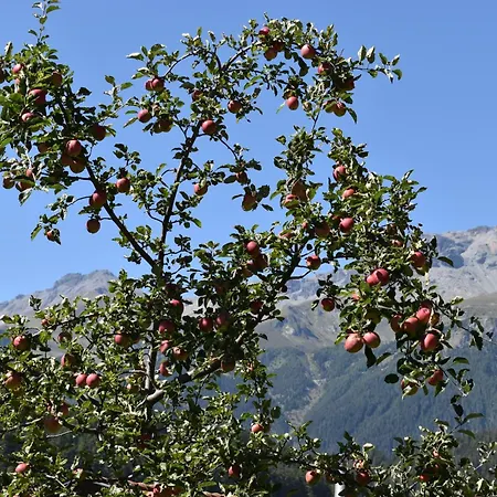 Panzió Hirschstube 3*