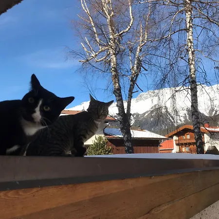 Hirschstube 3* Nauders