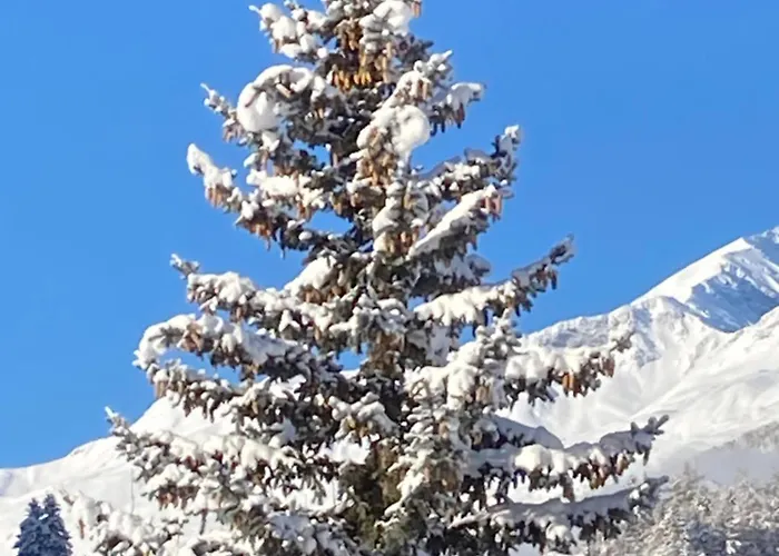 Hirschstube Oda ve Kahvaltı