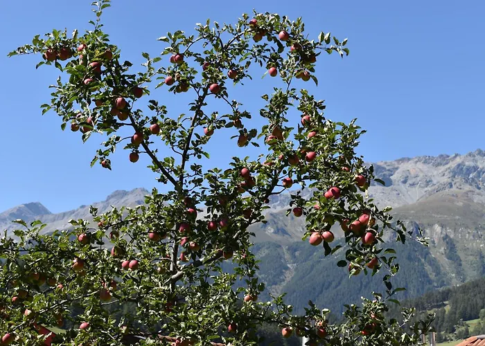 Oda ve Kahvaltı Hirschstube 3*