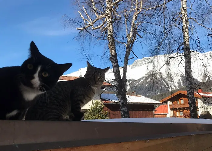 Hirschstube 3* Nauders